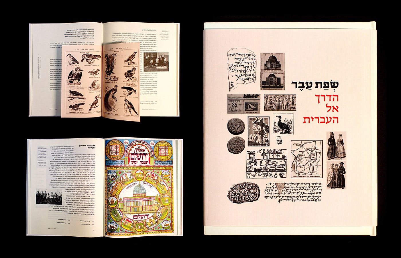 שפת עֵבֶר
 <span>— ספר המסקר את התפתחות השפה העברית</span>