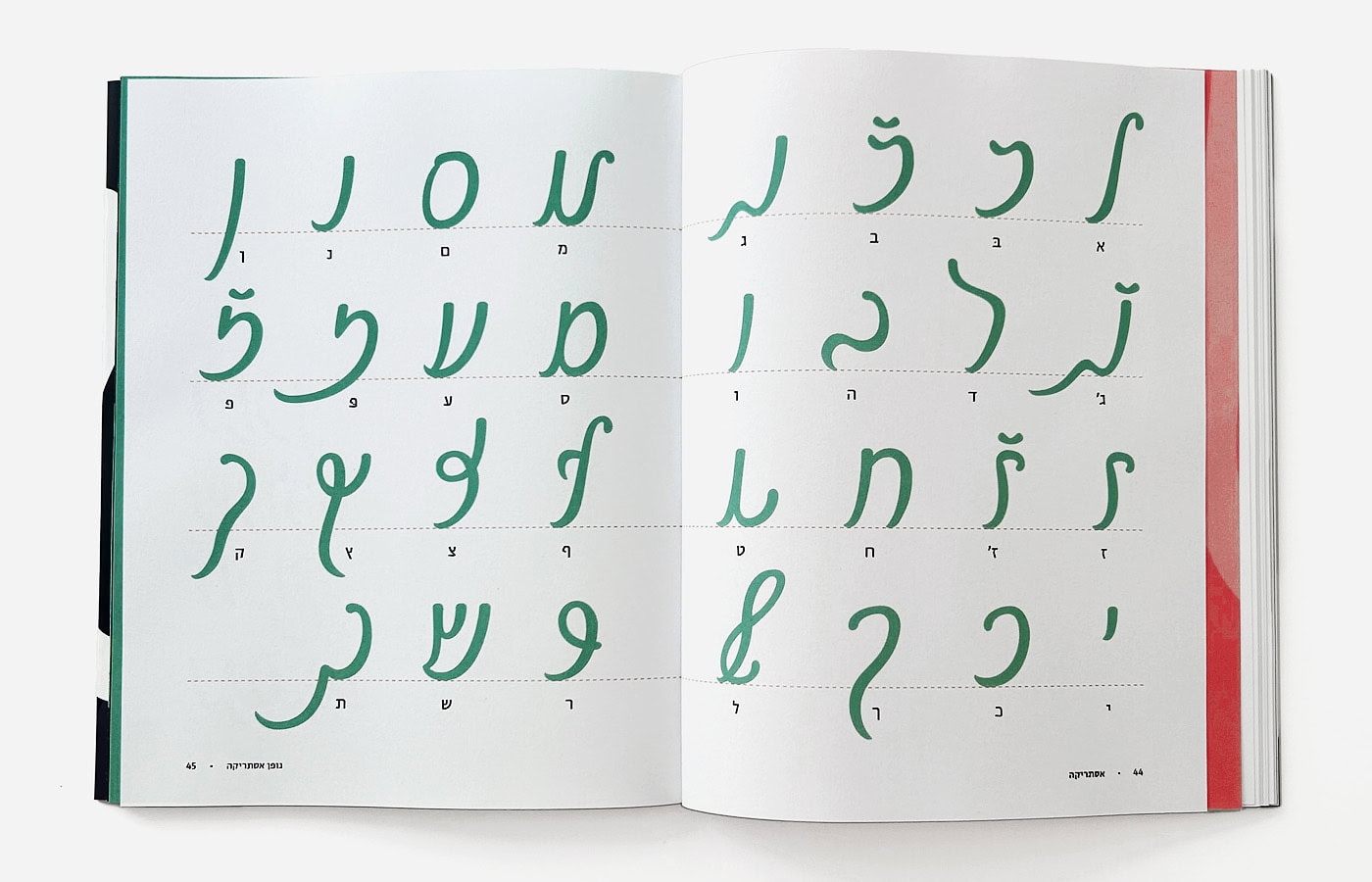 אסתריקה <span>— פיסת היסטוריה שמקבלת חיים חדשים</span>